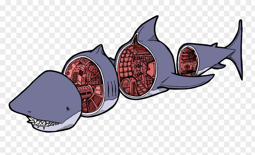 Shark Transparent Background Clip Art Image Fish PNG