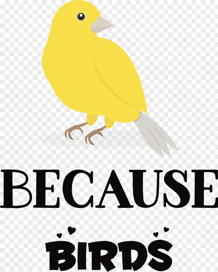 Birds Logo Beak Meter Yellow PNG
