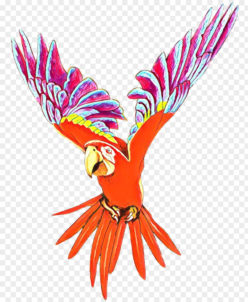 Budgerigar Bird Macaw Cockatiel Fly: Parrot PNG