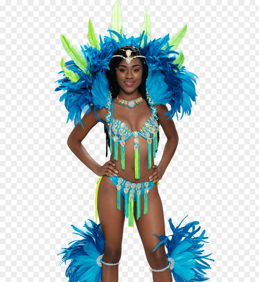 Carnival Feather Costume Boyshorts Tankini PNG
