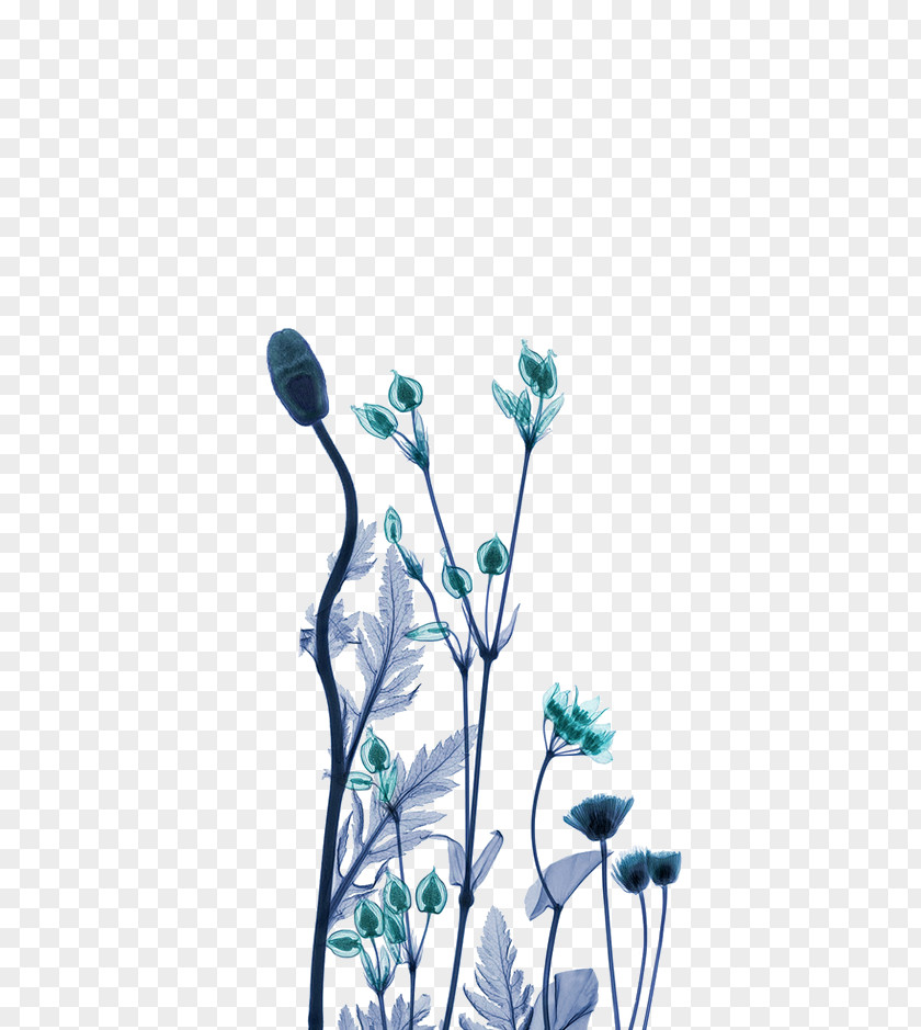 Green Dream Flower Decoration Pattern X-ray Generator Work Of Art Artist PNG