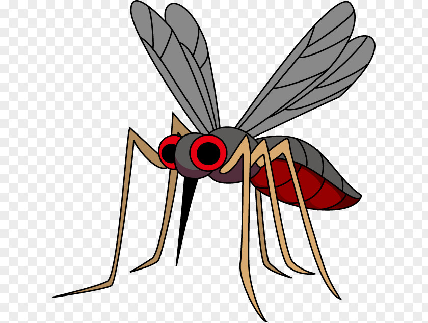 Mosquito Dengue 虫 Disease West Nile Fever PNG