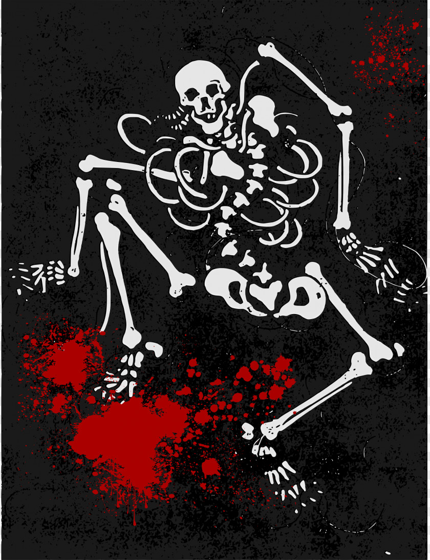 Skeleton Human Skull PNG