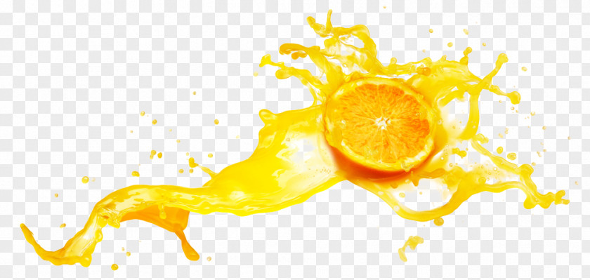 Splash Orange Juice Stock Photography Cocktail PNG