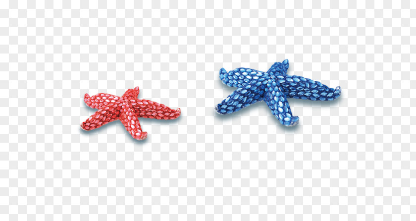 Starfish Blue Icon PNG