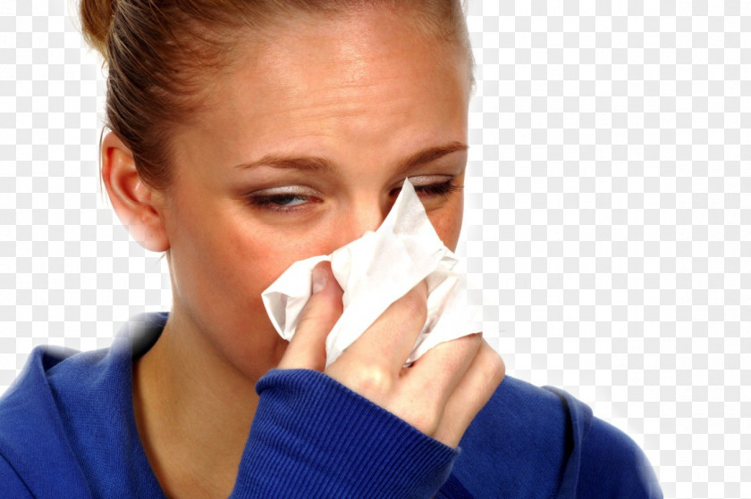 Allergy Common Cold Sinusitis Influenza Immune System PNG