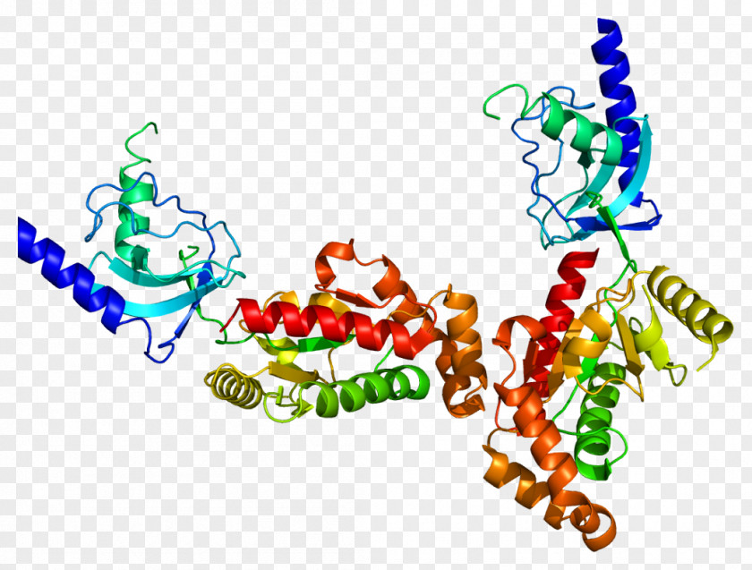 CACNB4 Voltage-gated Calcium Channel Cav2.1 Gene PNG