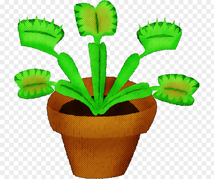 Plant Stem Flowerpot Citroën Cactus M Plants Biology PNG