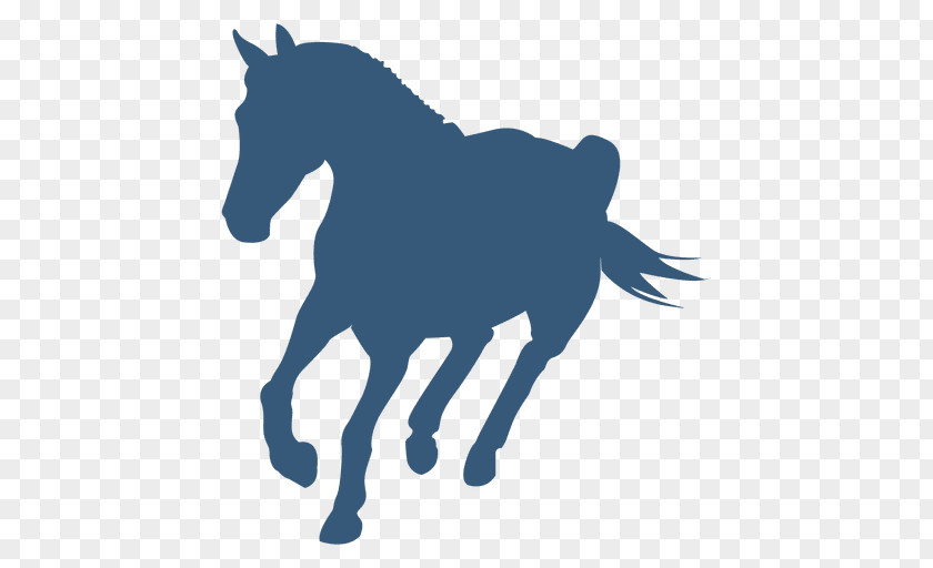 Silhouette Mule Stallion Mustang Pony PNG