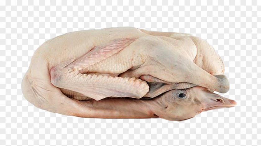 Free Buckle Material Goose Picture Domestic Roast Yongda Meat Food PNG