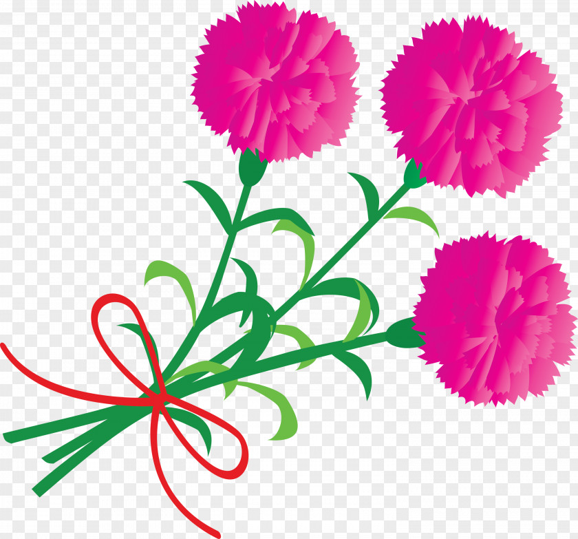 Mothers Day Carnation Flower PNG