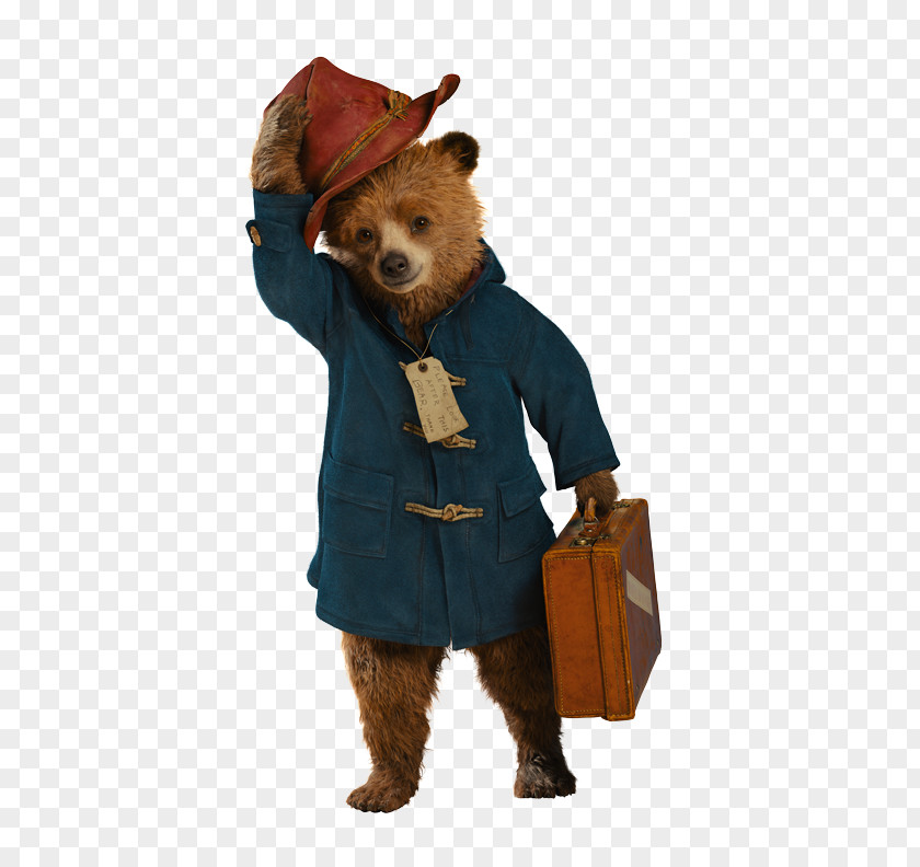 Paddington Bear Paddington's Birthday Party Portobello Road Greeting & Note Cards PNG