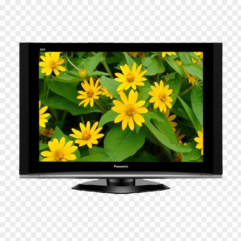 TV Television Set Panasonic LED-backlit LCD Liquid-crystal Display PNG