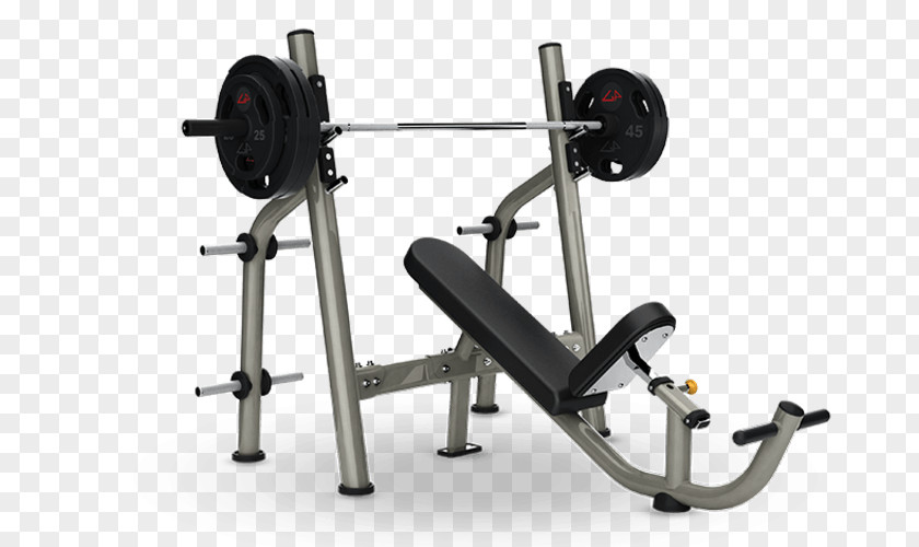 Barbell Bench Weight Training Physical Fitness Strength Exercise Equipment PNG