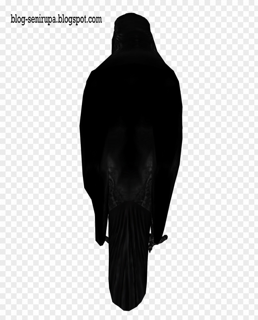 Black Crow Stock Photography Visual Arts And White PNG