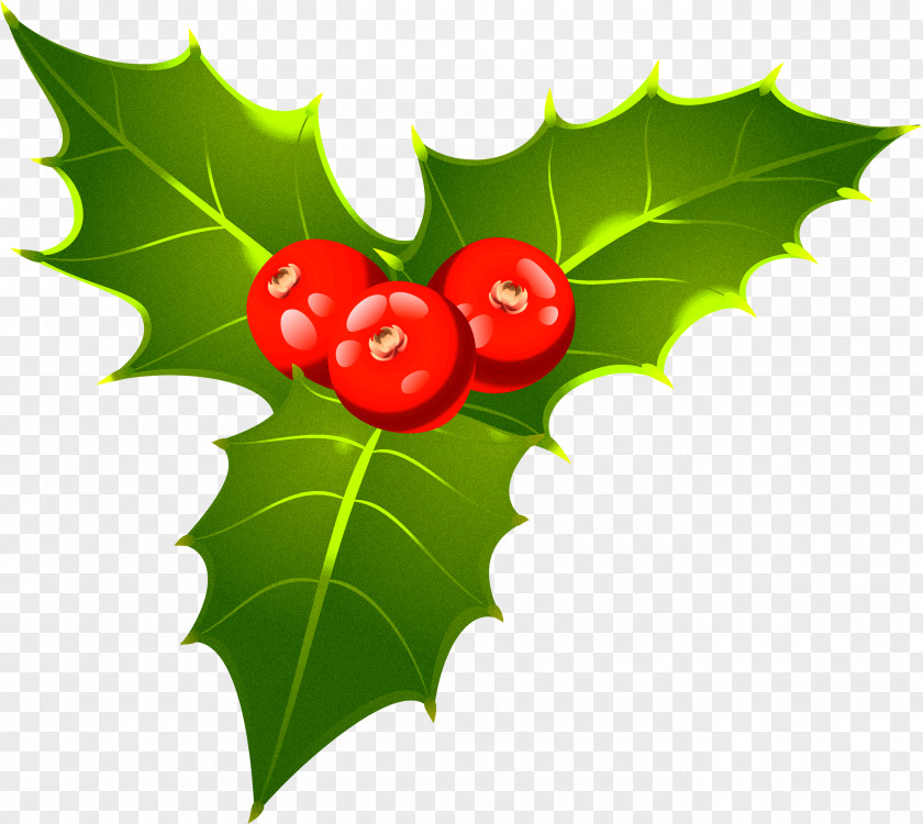 Clip Art Christmas Mistletoe Openclipart Day PNG