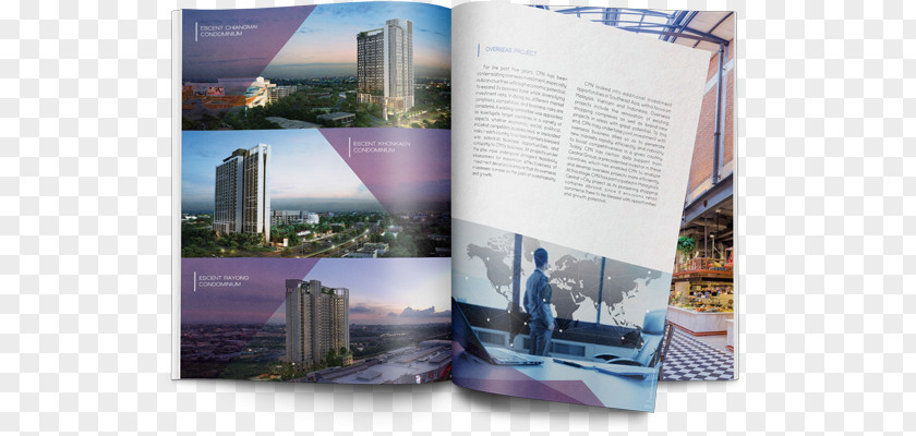 Annual Reports Central Pattana Business Graphic Design Art PNG