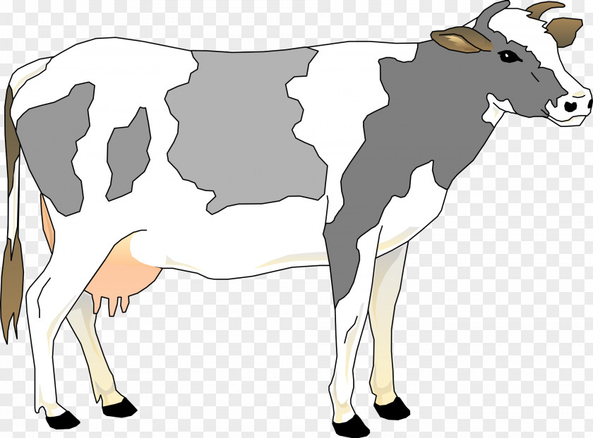 Calf Holstein Friesian Cattle Dairy Livestock Clip Art PNG