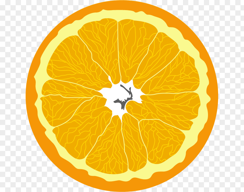 Citrus Vitamin E Food B Vitamins Nutrition PNG