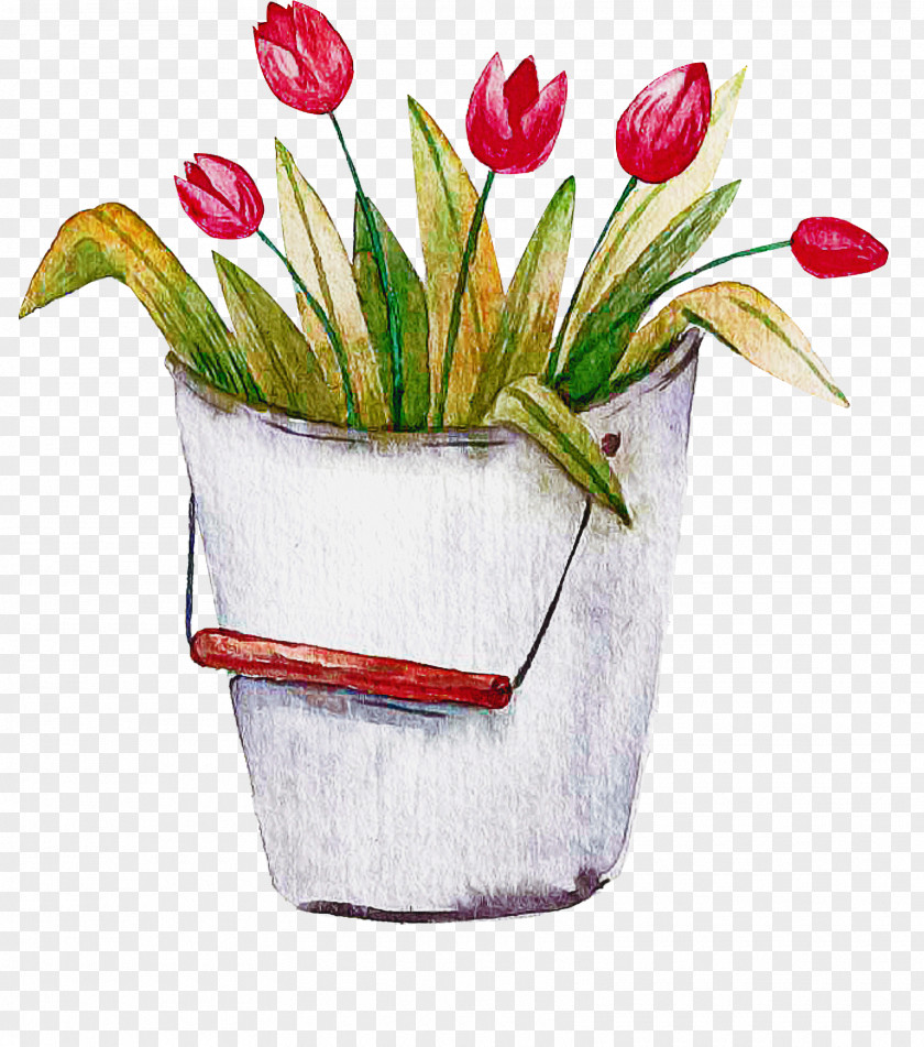 Floral Design PNG