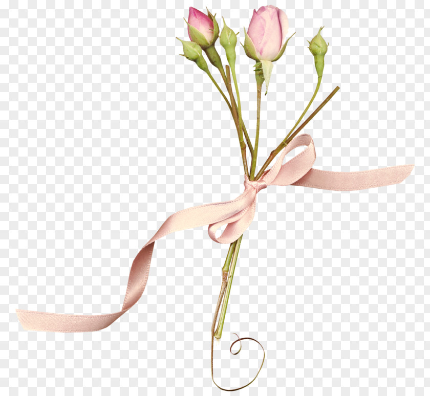 Flower Floral Design Cut Flowers Pink Rose PNG