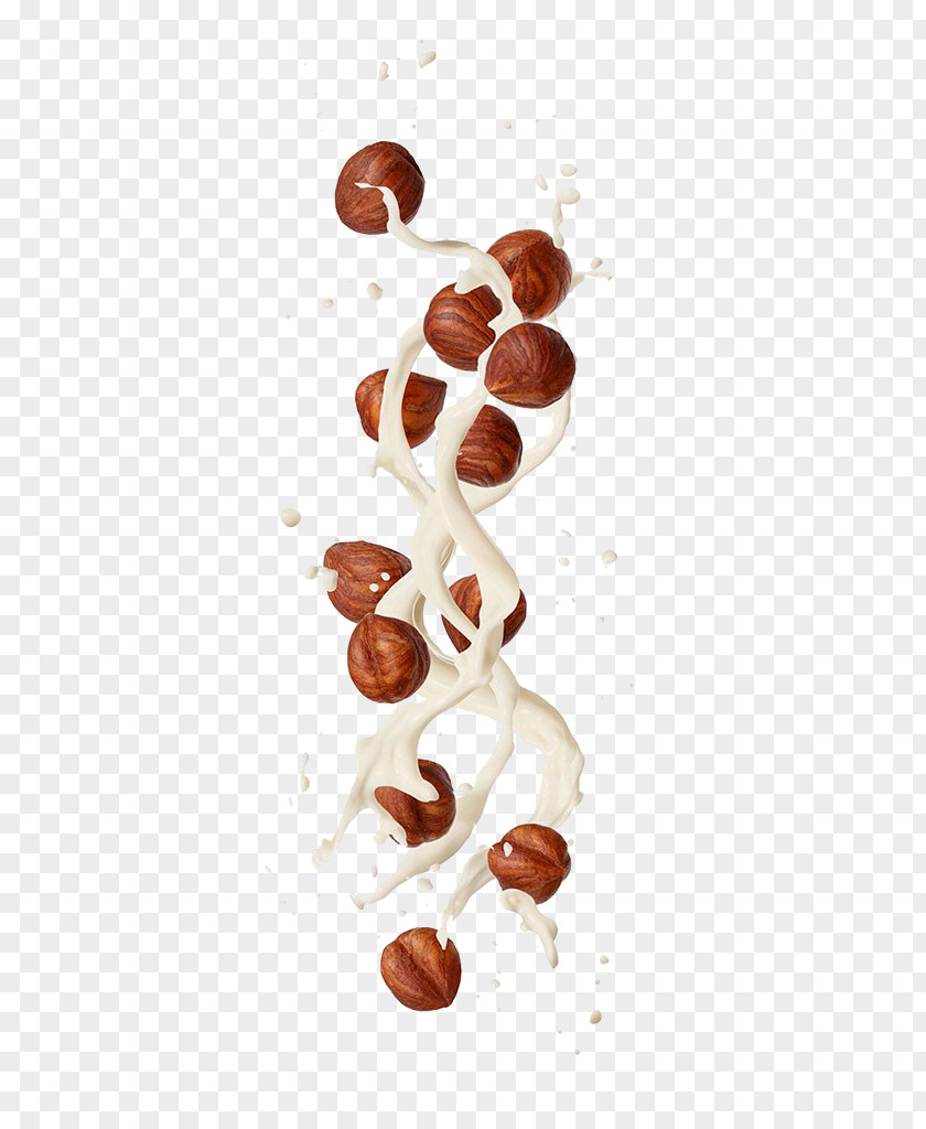 Milk Nuts PNG nuts clipart PNG