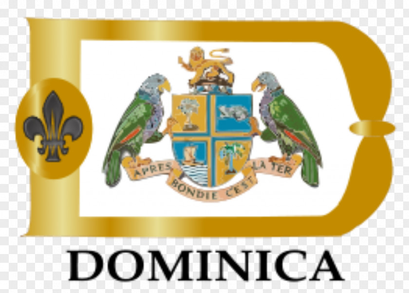 Association Clipart The Scout Of Dominica Scouting World Emblem Logo PNG
