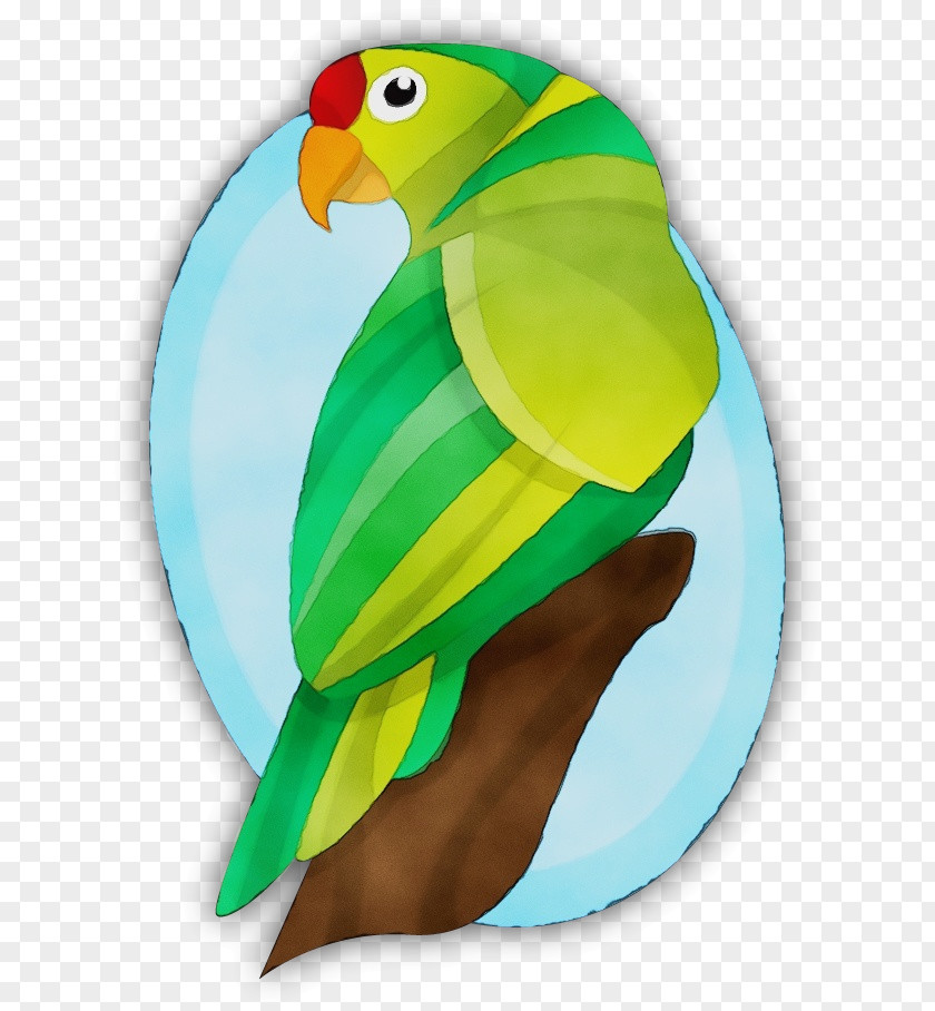 Budgie Lovebird PNG