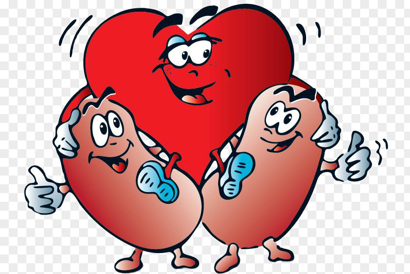 Heart Kidney Failure Chronic Disease Dialysis PNG