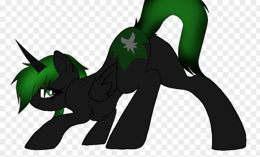 Horse My Little Pony Stallion Colt PNG