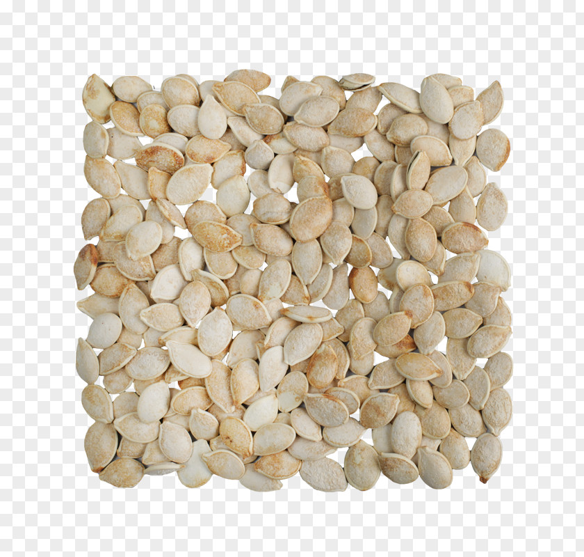 Nuts Sunflower Seed Food Energy PNG