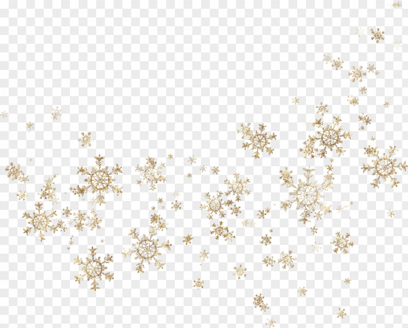 Snowflakes Snowflake Christmas Image File Formats PNG