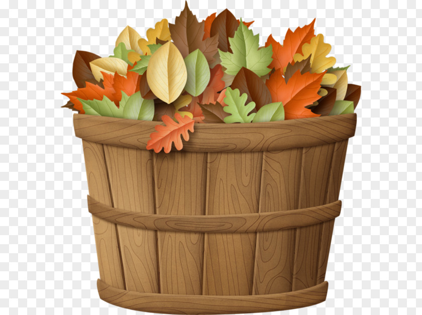 A Bucket Of Leaves Autumn Leaf Clip Art PNG
