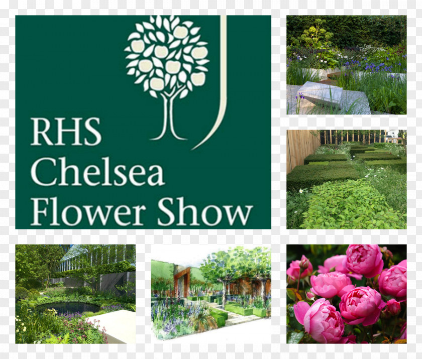 Chelsea Academy Flower Show Grassform Royal Hospital Horticultural Society PNG