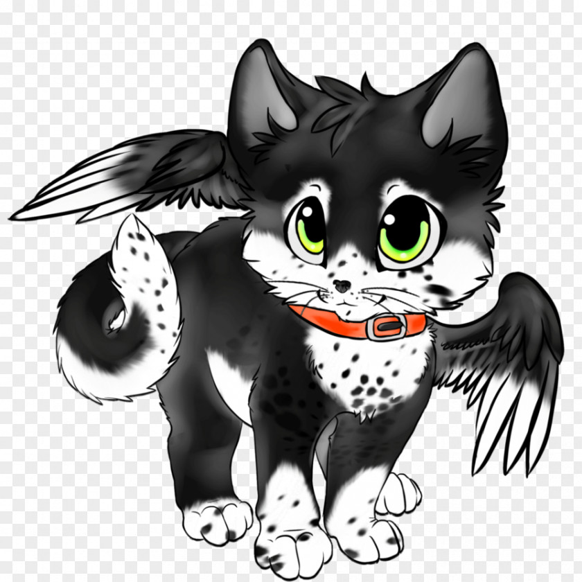 Kitten Whiskers Black Cat Dog PNG