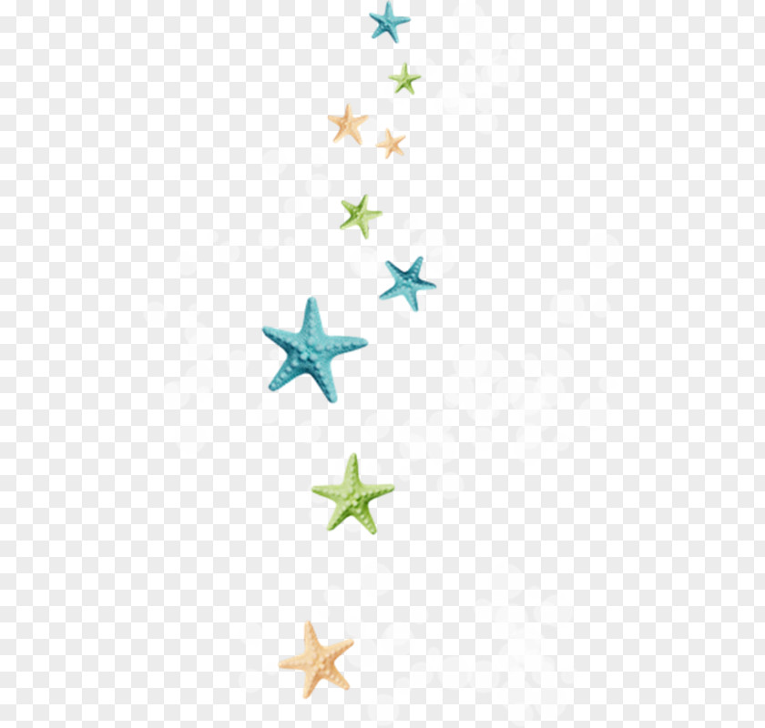 Multicolored Starfish Clip Art PNG