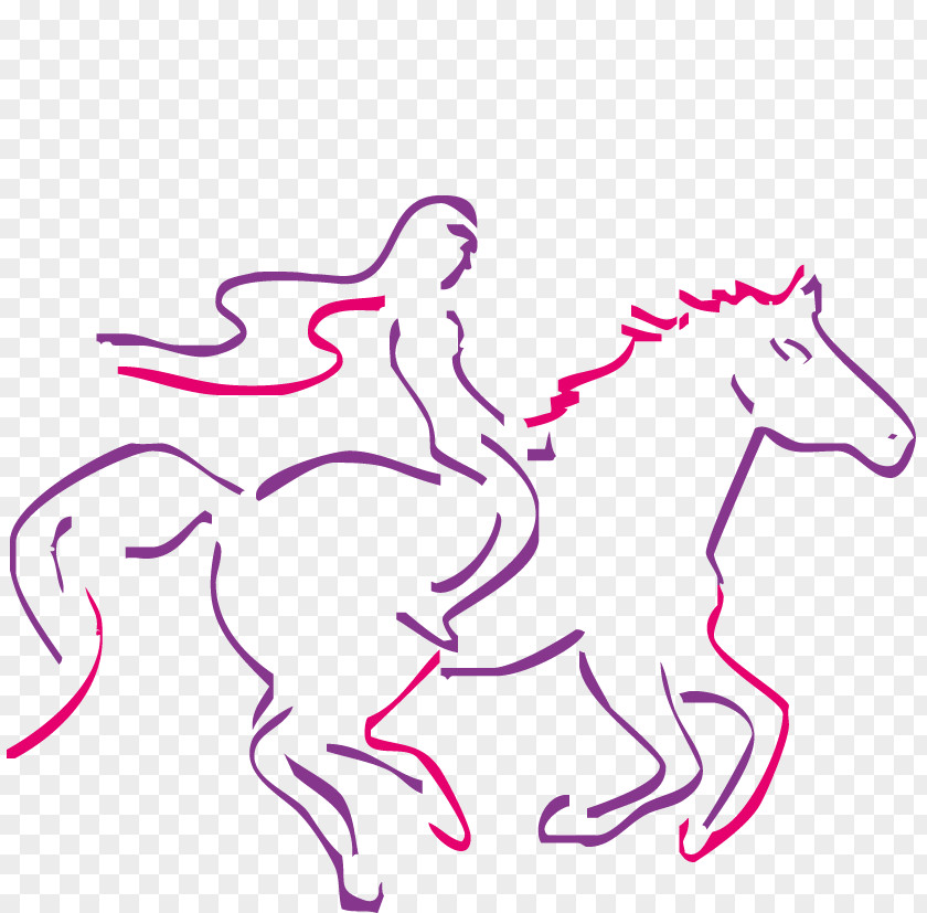 Mustang Pony Alternavita Naturheilpraxis Pack Animal Equestrian PNG