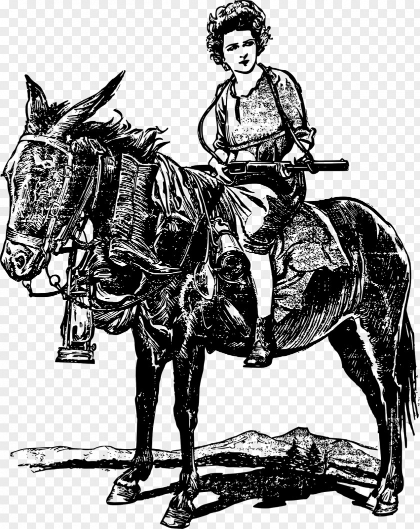 Riding Club Mule Horse Firearm Equestrian Weapon PNG