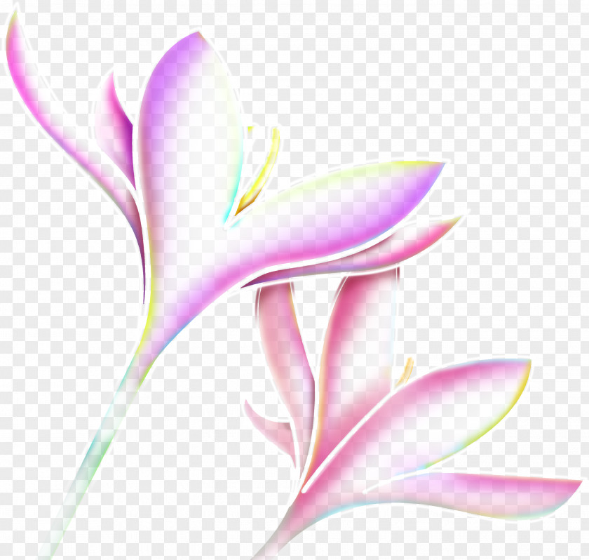 Snowdrop Flower Pink Clip Art PNG