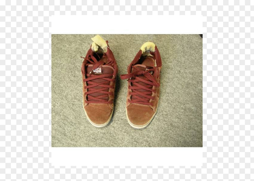 Squill Sneakers Shoe Walking PNG