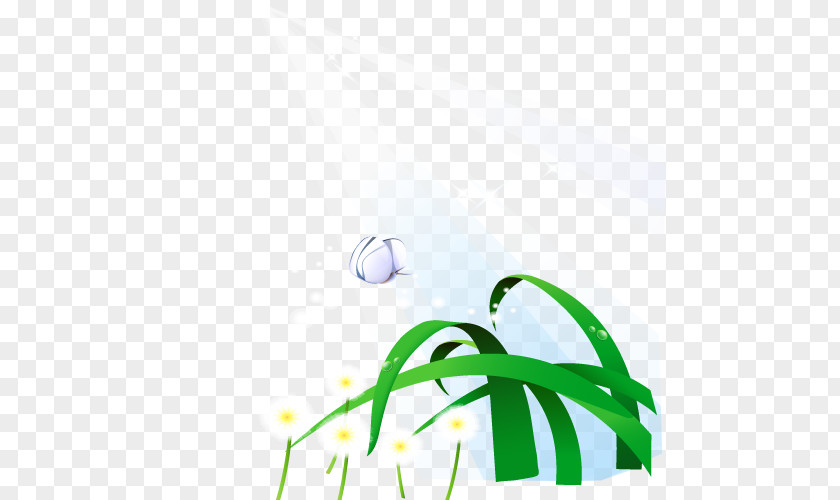 Vector Grass Dandelion Drawing PNG