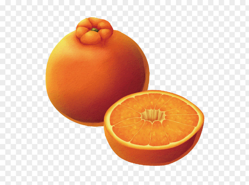 3d Picture Painted Food Fruit Dekopon PNG