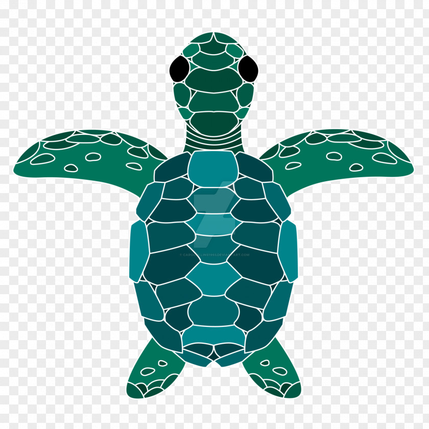 Lined Sea Turtle Tortoise Red Panda Leopard PNG