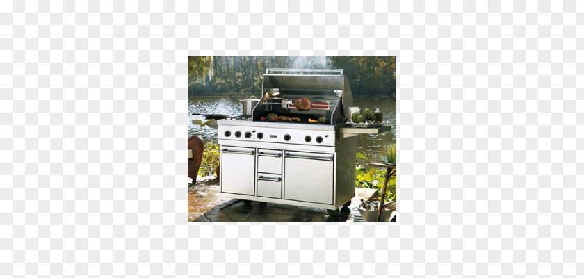 Outdoor Grill Gas Stove Cooking Ranges Barbecue Kitchen PNG