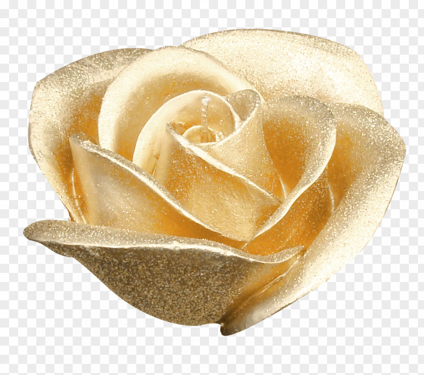 Pretty Golden Rose Garden Roses Flower Gold PNG