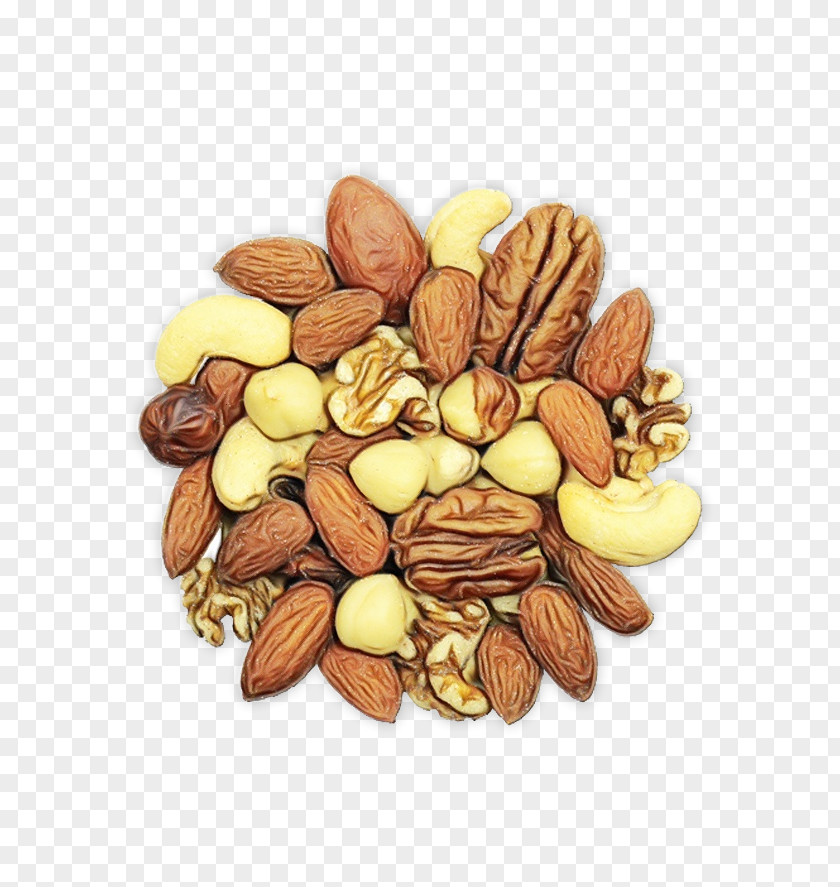 Seed Cuisine Fruit Cartoon PNG