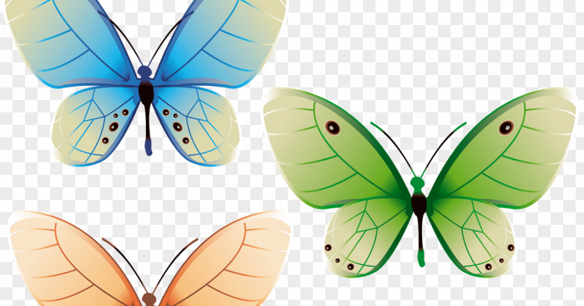 Butterfly Insect Clip Art PNG