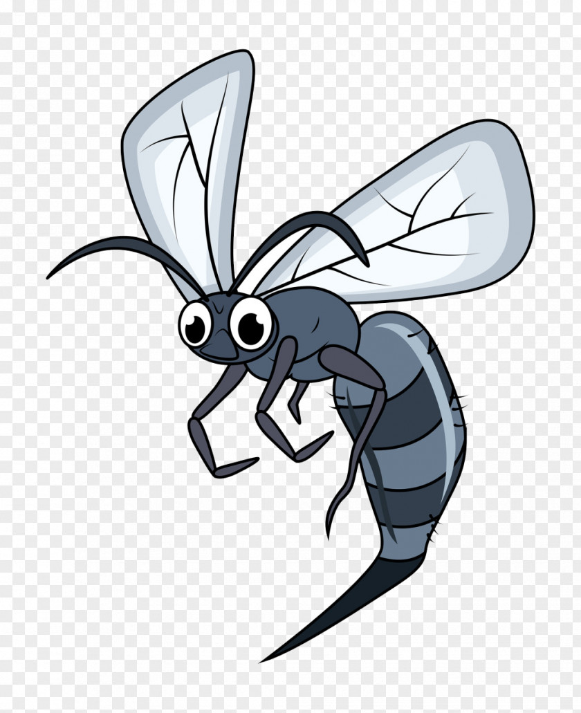 Cartoon Mosquito Insect Bee Drawing PNG