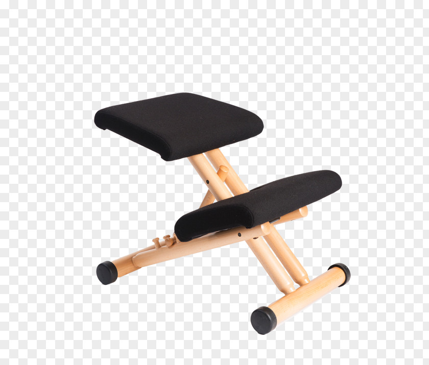 Chair Kneeling Varier Furniture AS Eames Lounge PNG