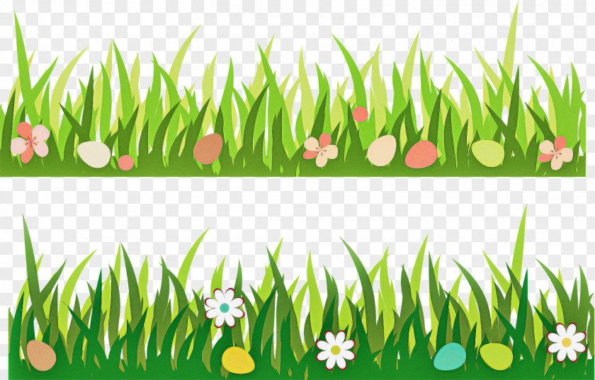 Grass Green Plant Family Lawn PNG